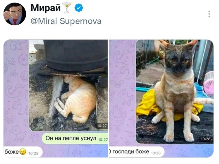 ������