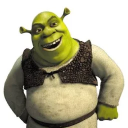 Oinavi