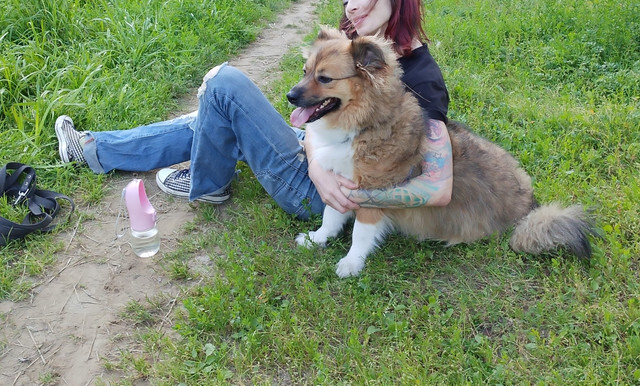 [url=<!--noindex--><a href="https://pikabu.ru/story/otvet_na_post_voskresnaya_rubrika_pokazhi_pitomtsa_14267701?u=https%3A%2F%2Fibb.co%2FxSbTCfp6%5D%5Bimg%5Dhttps%3A%2F%2Fi.ibb.co%2Fsv4Ym60q%2F56.jpg%5B%2Fimg%5D%5B%2Furl%5D&t=https%3A%2F%2Fibb.co%2FxSbTCfp6%5D%5Bimg%5Dhttps%3A%2F%2Fi.ibb.co%2Fsv4Ym60q%2F56.jp...&h=de998af95e3be61776f3bb51dbaf69eb8db9971a" title="https://ibb.co/xSbTCfp6][img]https://i.ibb.co/sv4Ym60q/56.jpg[/img][/url]" target="_blank" rel="nofollow noopener">https://ibb.co/xSbTCfp6][img]https://i.ibb.co/sv4Ym60q/56.jp...</a><!--/noindex-->