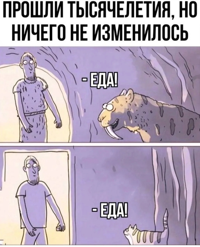 � ���� ������...