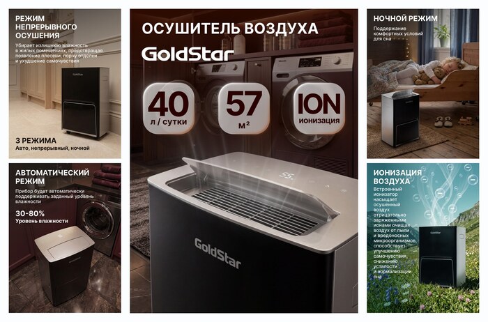 Осушитель воздуха GoldStar GSD-40L, черный, для помещения до 57 кв. м, встроенный ионизатор