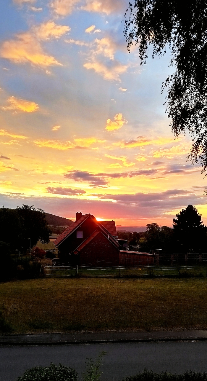 Всем отличного дня ☕🌄