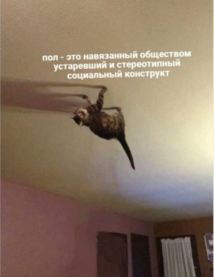 ��� ���...