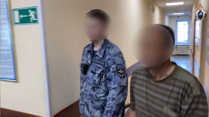 Фото: скриншот из видео СК по Томской области