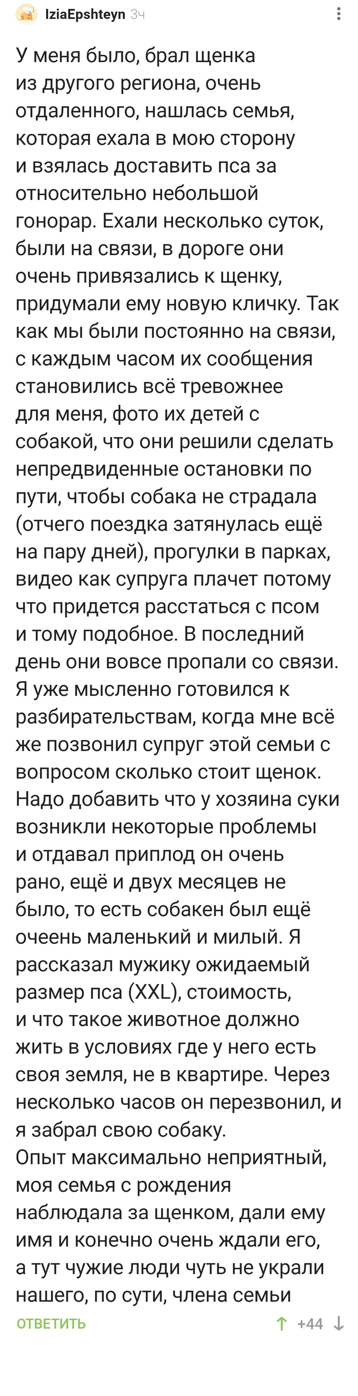 Щенок