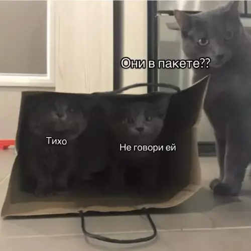 ������ � ������
