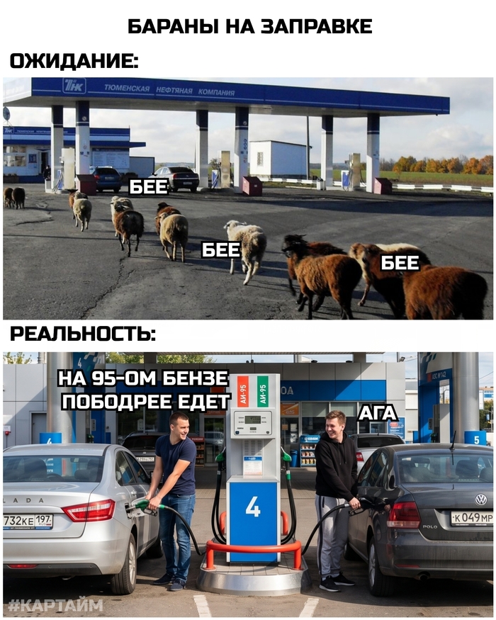 Бараны
