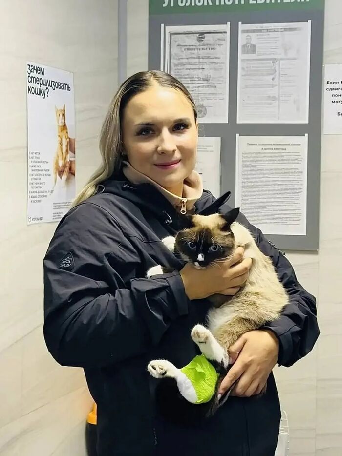 Кошка с переломом получила второй шанс благодаря красноярским полицейским