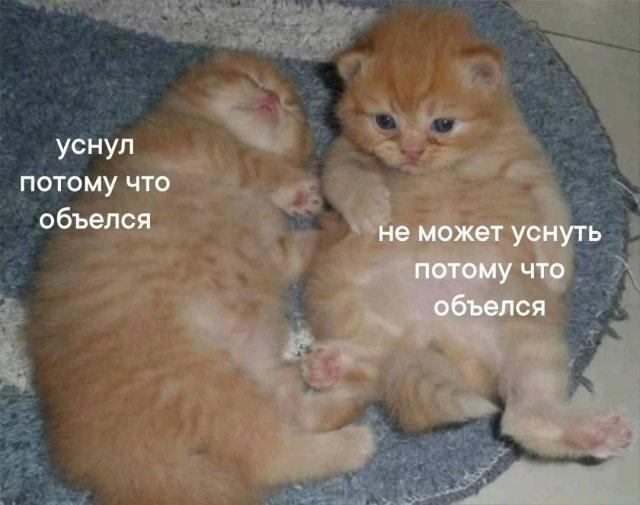 Во мне идет постоянно борьба...