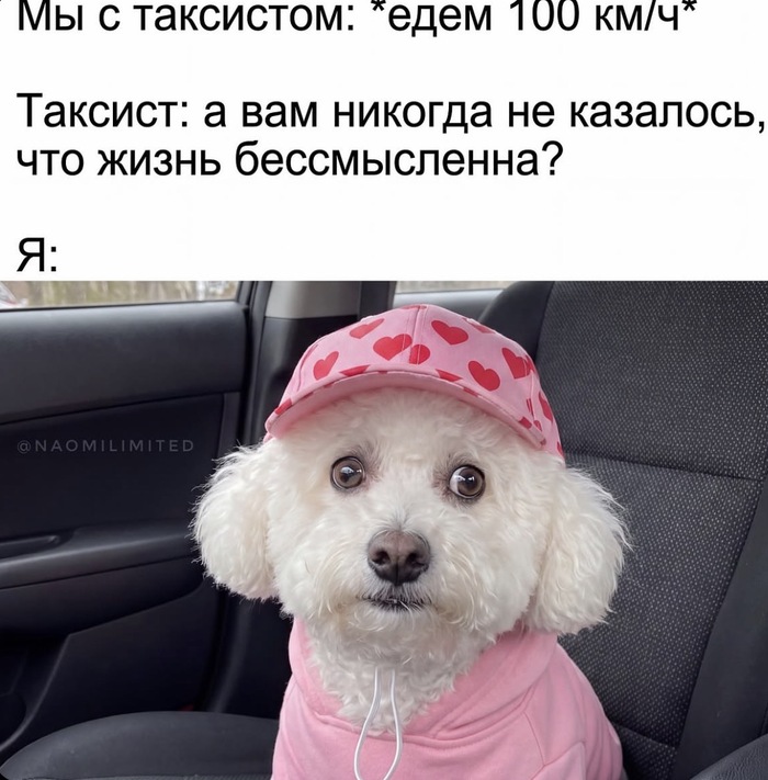 Оценю поездку в 100 из 5