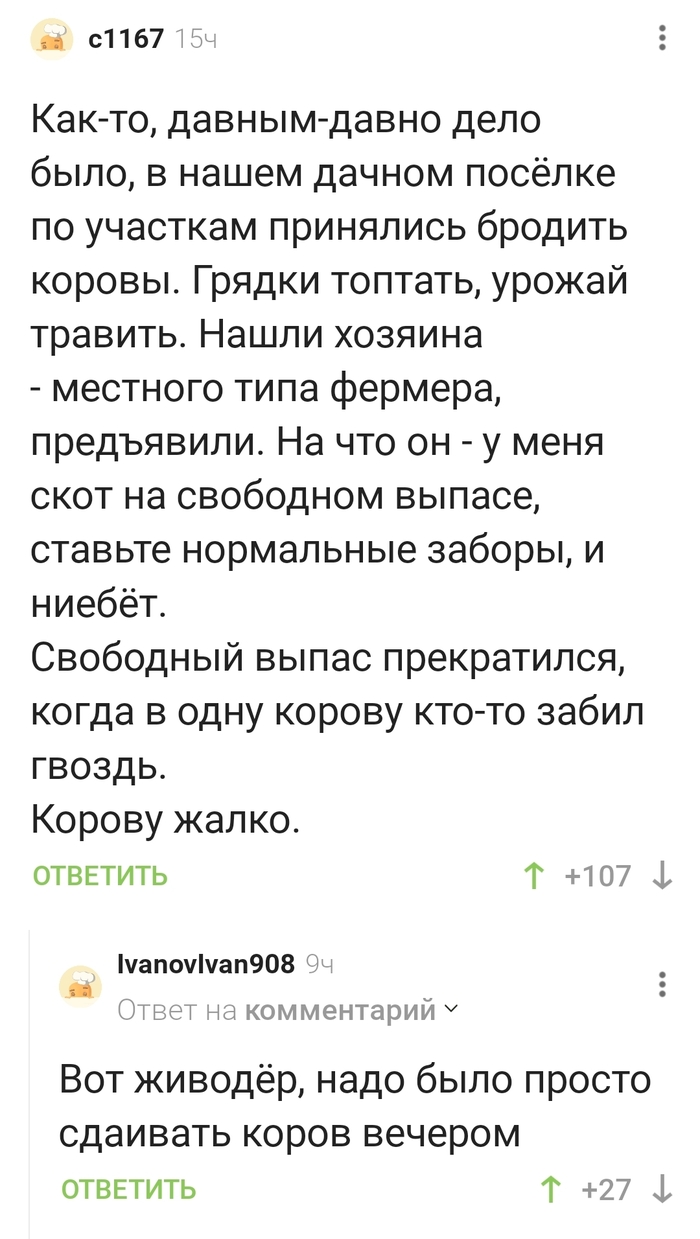 Корову жалко