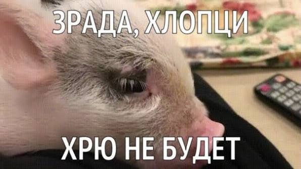 Ответ на пост «В Запорожье полностью уничтожен один из крупнейших ликёро-водочных заводов "Хортица"»