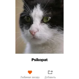kakvizadolbali13