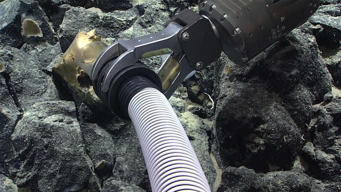 ����: NOAA Ocean Exploration 