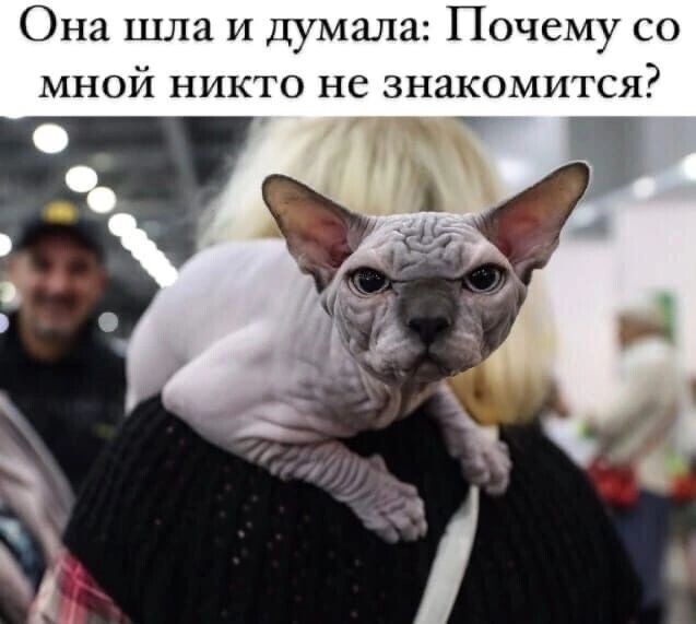 ������ �� ���� ����� �� ����������?