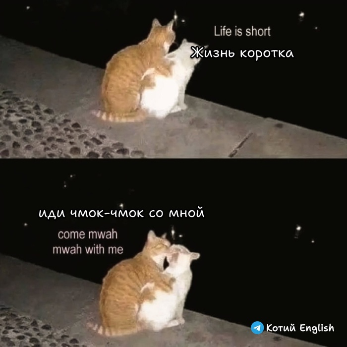 Ночная философия