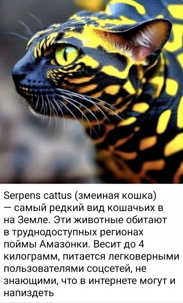 Новый вид найден