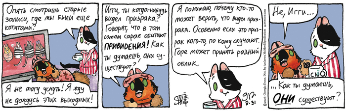 Котейкины Новости от 31.08.2026