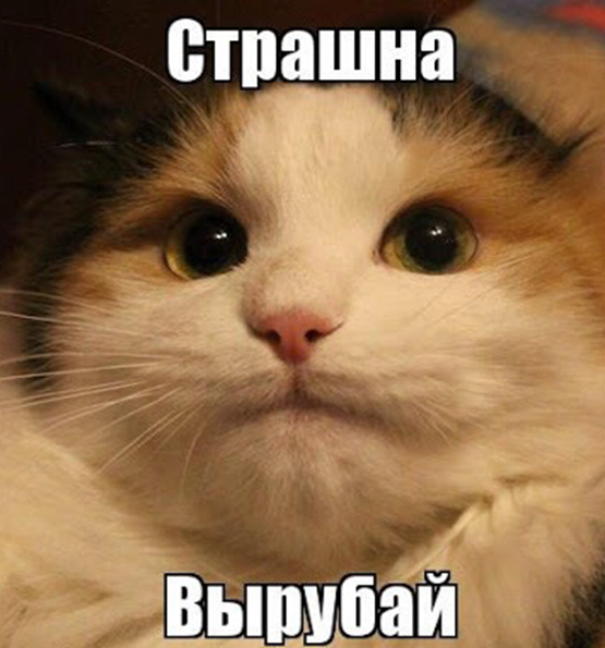 ��������, �����, �� �� - ���������