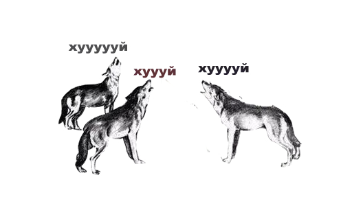 ���������� ���