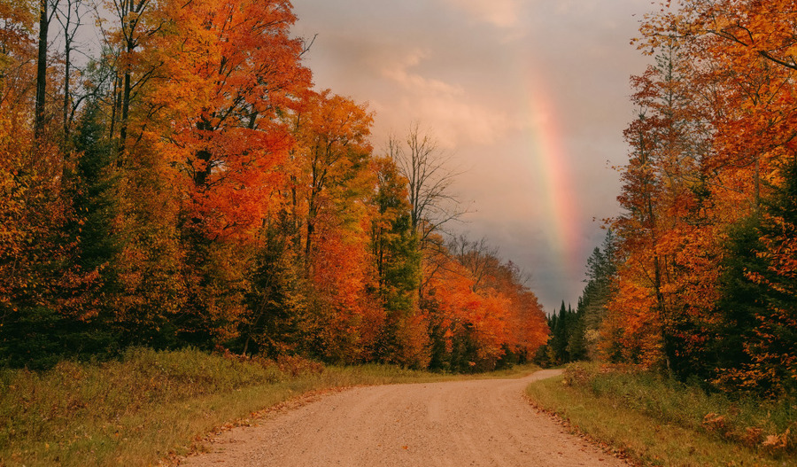 Rainbow - Rainbow, The photo