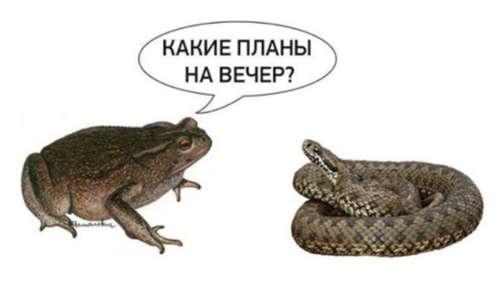 Эреб предлагает Кору уединиться в тренировочной камере. Пикт в цвете