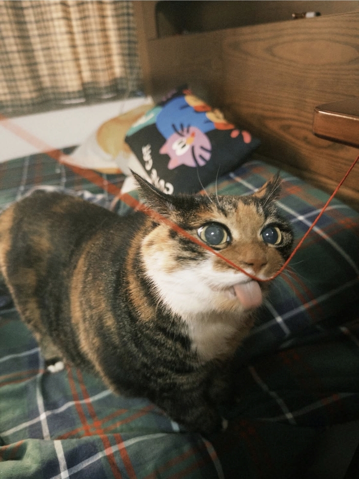 ��� ���