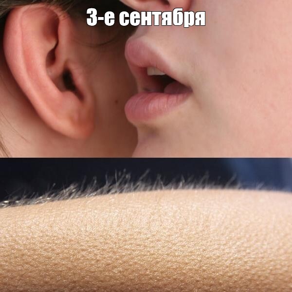 ����������� ���������