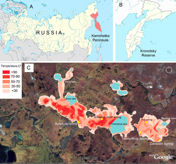 ��������� ���������� ���� �������� ����. ��������: Rozanov et al., 2014, BMC Genomics.