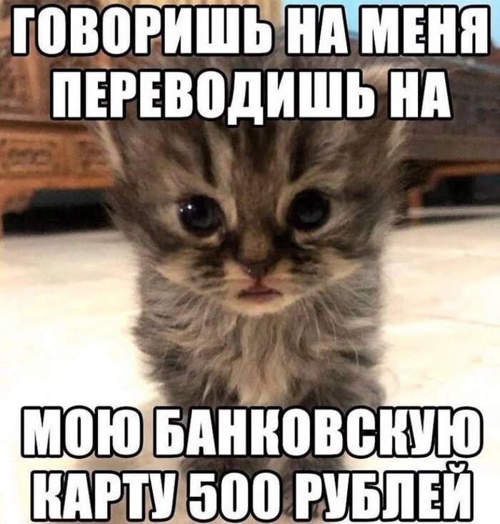 ����, �� ��� ����� �������� 7999**