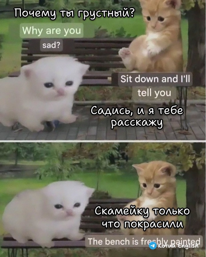 Сначала сядь