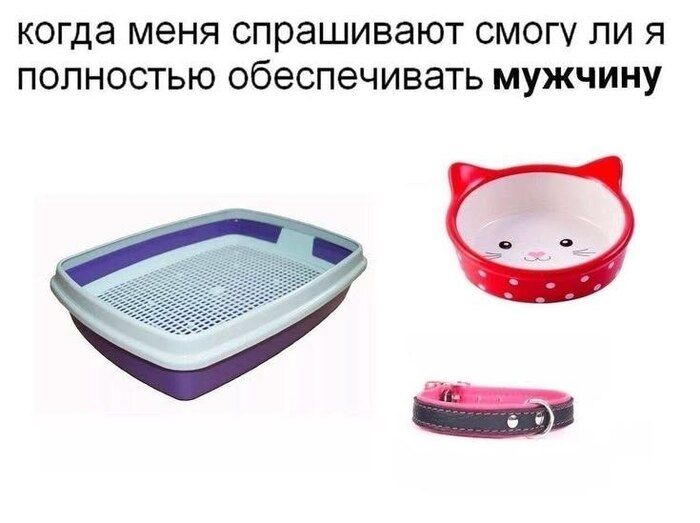 Конечно, смогу!