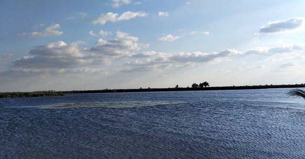Steppes - Vertical video, Steppe, Water, Field, Lake, Video, Rutube