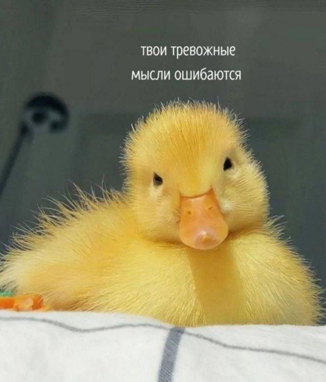Я хочу сказать тебе что