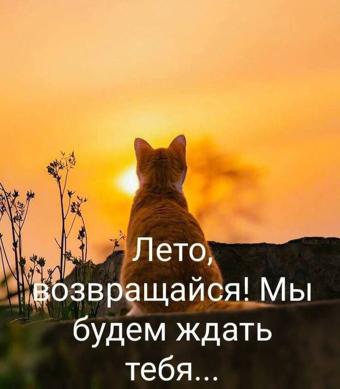 Лето...