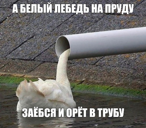 ����� �� ���� ��� ��� ��� ������