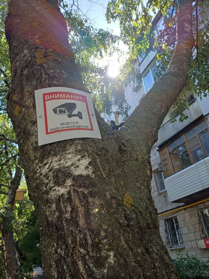 Мы не знаем,что это такое ...Если мы знали ...
