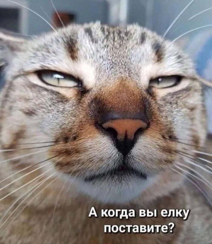 Когда ?