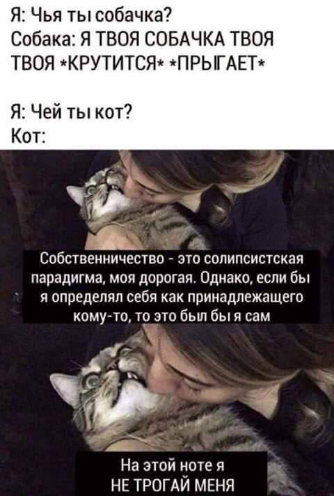 Ну они нас любят по-своему