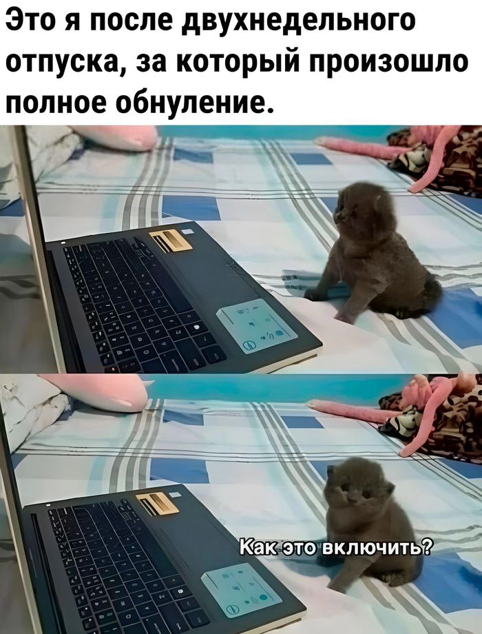•