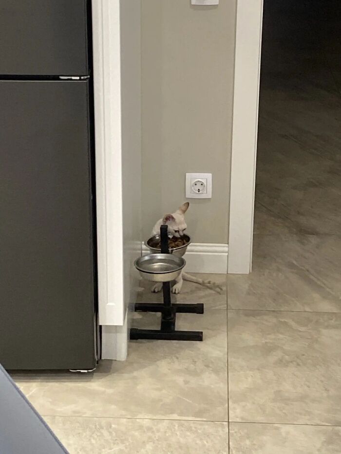 ׸ ��� � ���� �� ����?