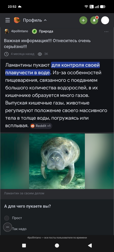 Иллюстрация к комментарию