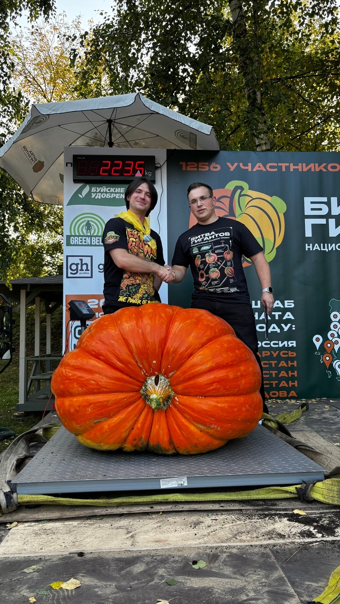 223 ��