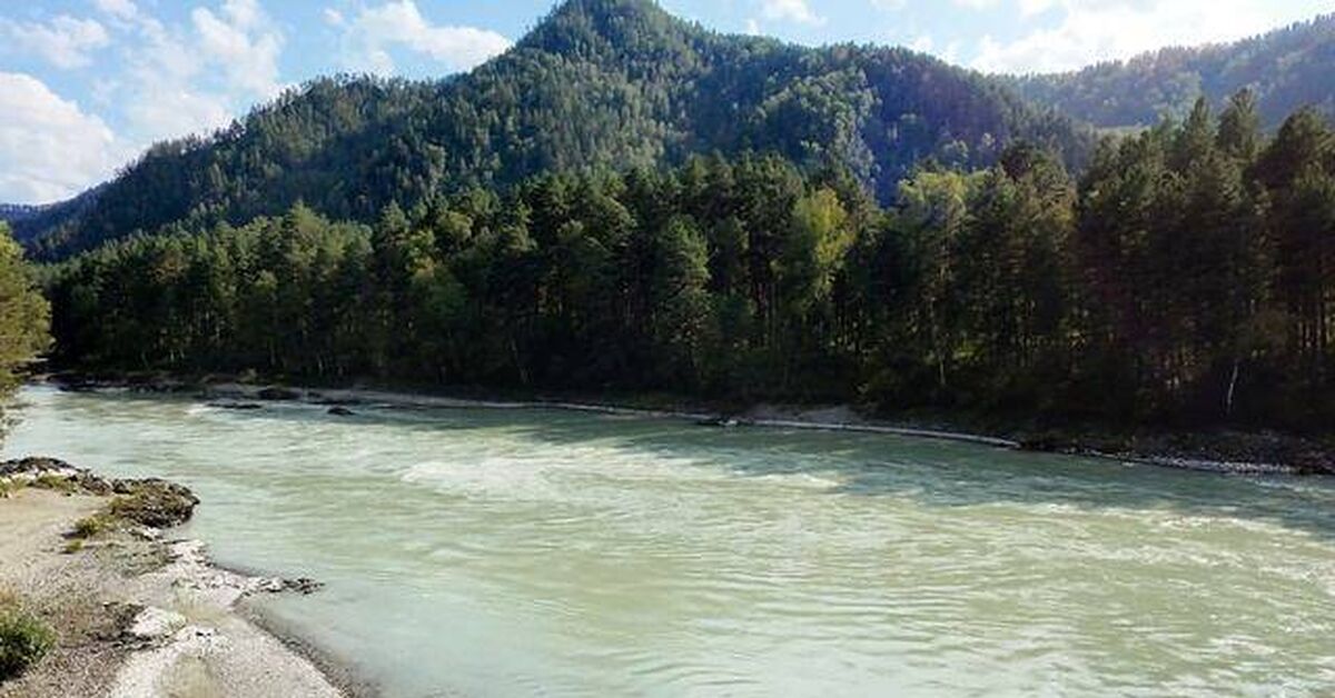 In the Rhythm of the Stream: Katun and its Banks - My, Katun, Altai Republic, River, The mountains, Siberia, Flight, Drone, Nature, Tourism, beauty, Travels, Summer, Video, Rutube