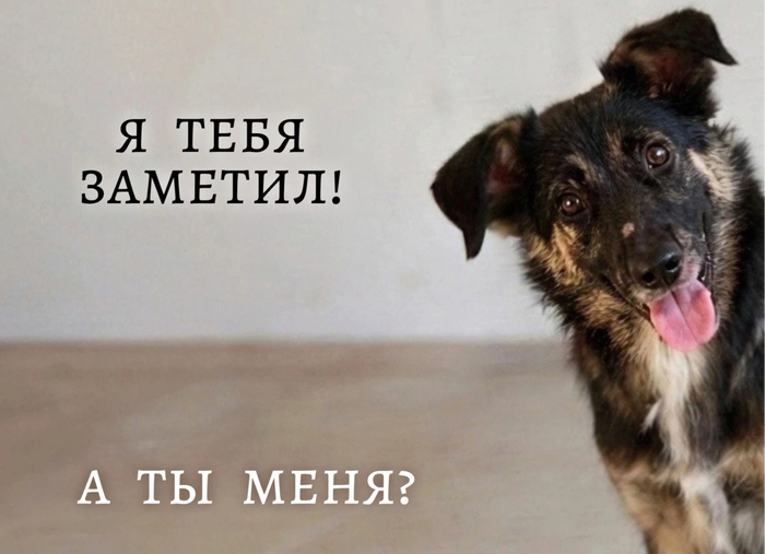 � � � � � �� ��������� �� ����