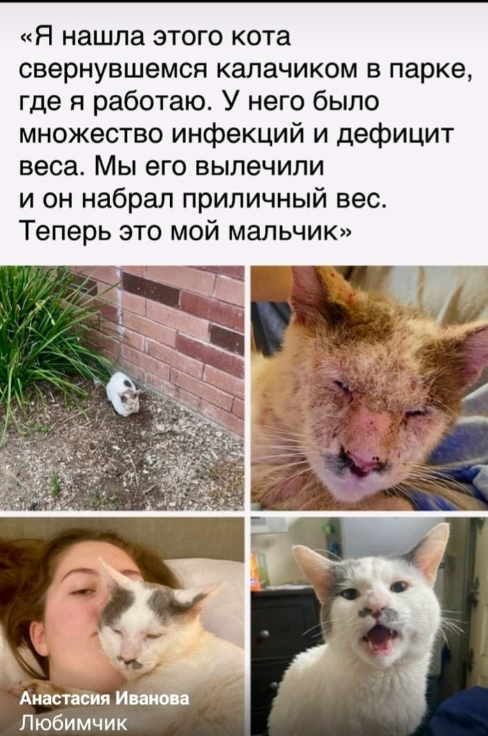 ����� ���� ��������, ��� ��� � ����� �������������