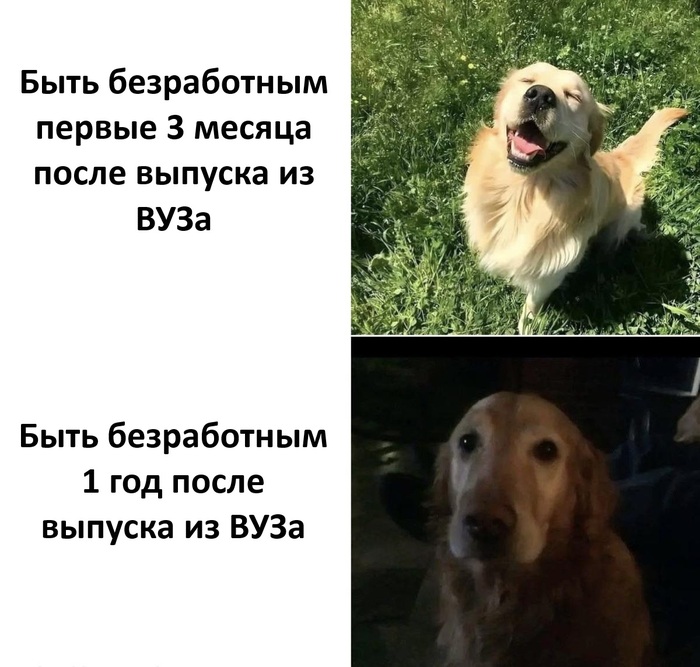 Отдых затянулся