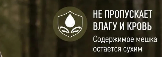 �������� �����