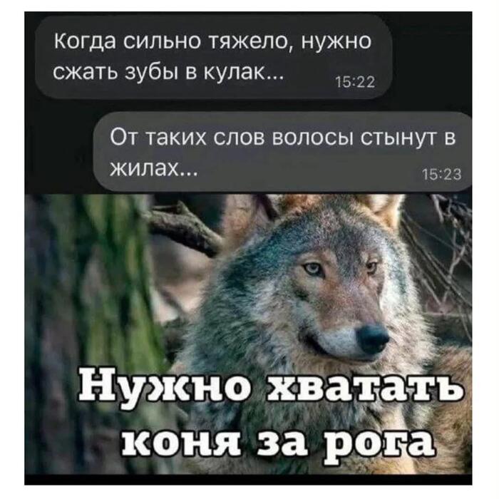 ������ ����� �� ������