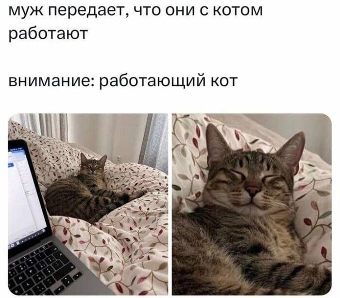 ���������� ���